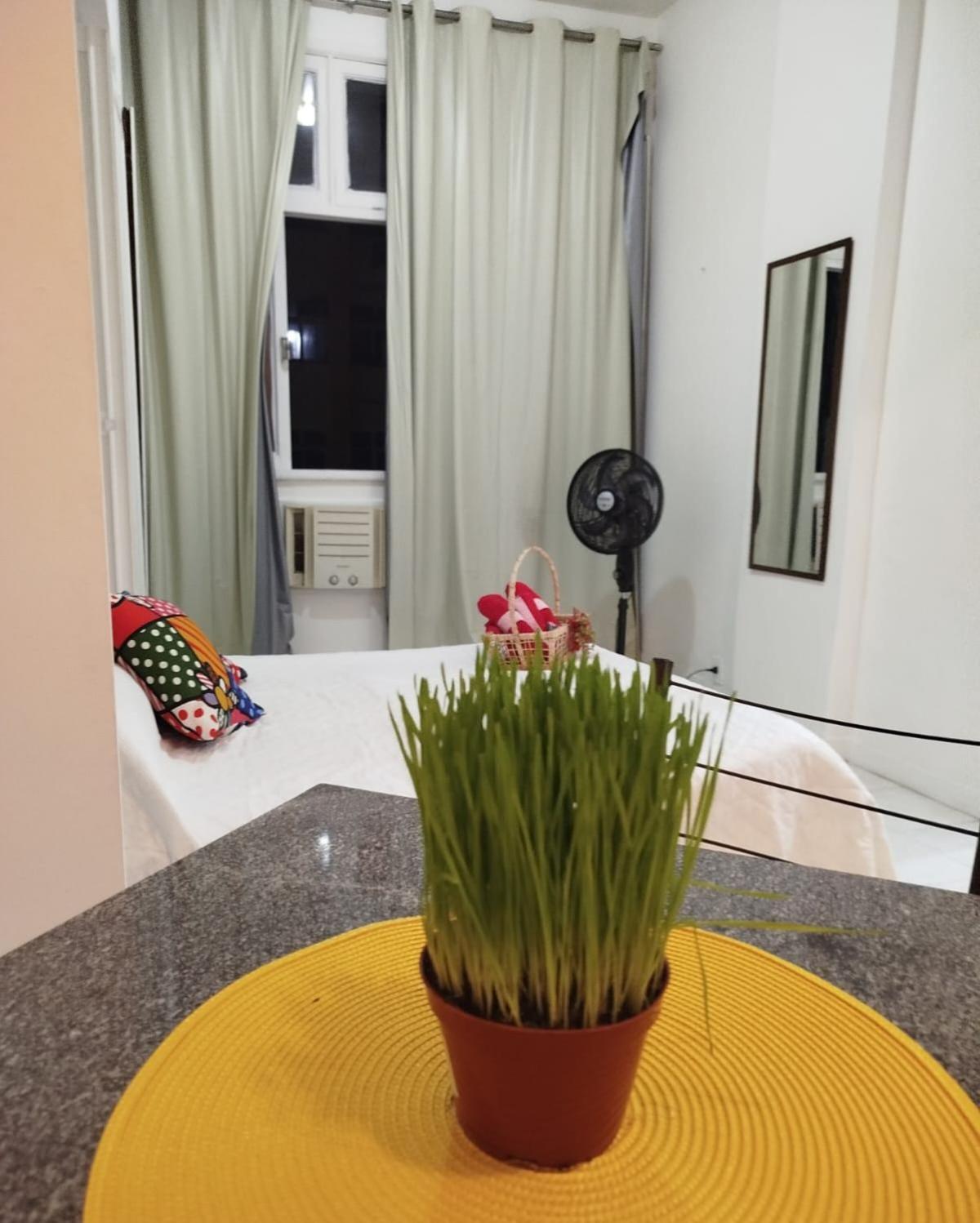 Apartamento Ensuenos8 *